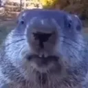uhhhhhhhhhh