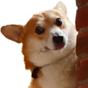 doglurk
