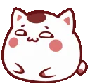 dragonraja1