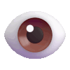 eye