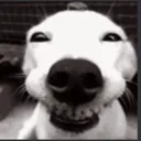 Screenshot20240523at2