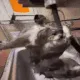 rope rope