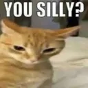 yousilly yousilly