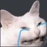 catcry Discord Emoji