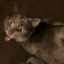 BerryScrem