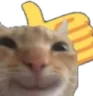 CatThumbsUp