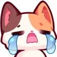 Calico_Cry