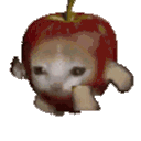 1343catapplerunning