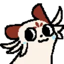 snowo
