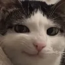 catsmirj