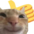 thumbsupcat