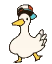heya_duck