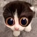 EYES