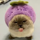Skitt Skitt