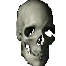 SkullHelicopter