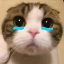 die_cute_cry