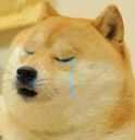 A55dogesad Discord emoji