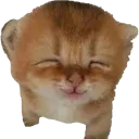 CatWhoDoesntSaySlurs CatWhoDoesntSaySlurs