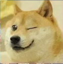 A55dogewink Discord emoji