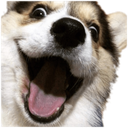 A55OMGDog Discord emoji