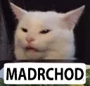 DL_mdrchd