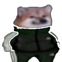 swagdoge Discord emoji