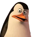 kowalski_huhremovebgpreview