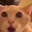 pog
