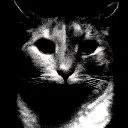 catDespair
