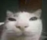 wah