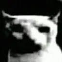 bruh
