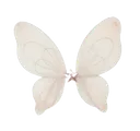 01butterflyDNS