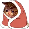 gatito_acurrucado gatito_acurrucado