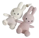 01miffy3DNS