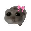 CuteSadHamster CuteSadHamster