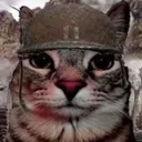 warisconsumingme warisconsumingme