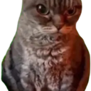 :angrycat: