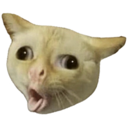 :cough: