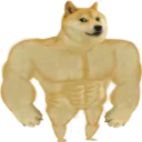 SWOLE