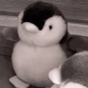 penchickcheer penchickcheer
