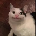 ayyein