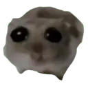 sadHamster
