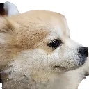 banditsigh banditsigh