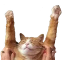 Yaaay Yaaay