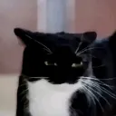 suspicious suspicious