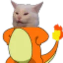 catmander