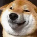 shibasmile