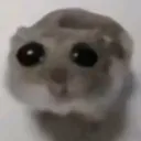 but