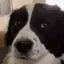 Erm