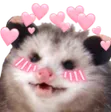 uwuOpossum